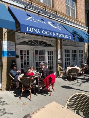 luna cat cafe|luna cafe morristown nj.